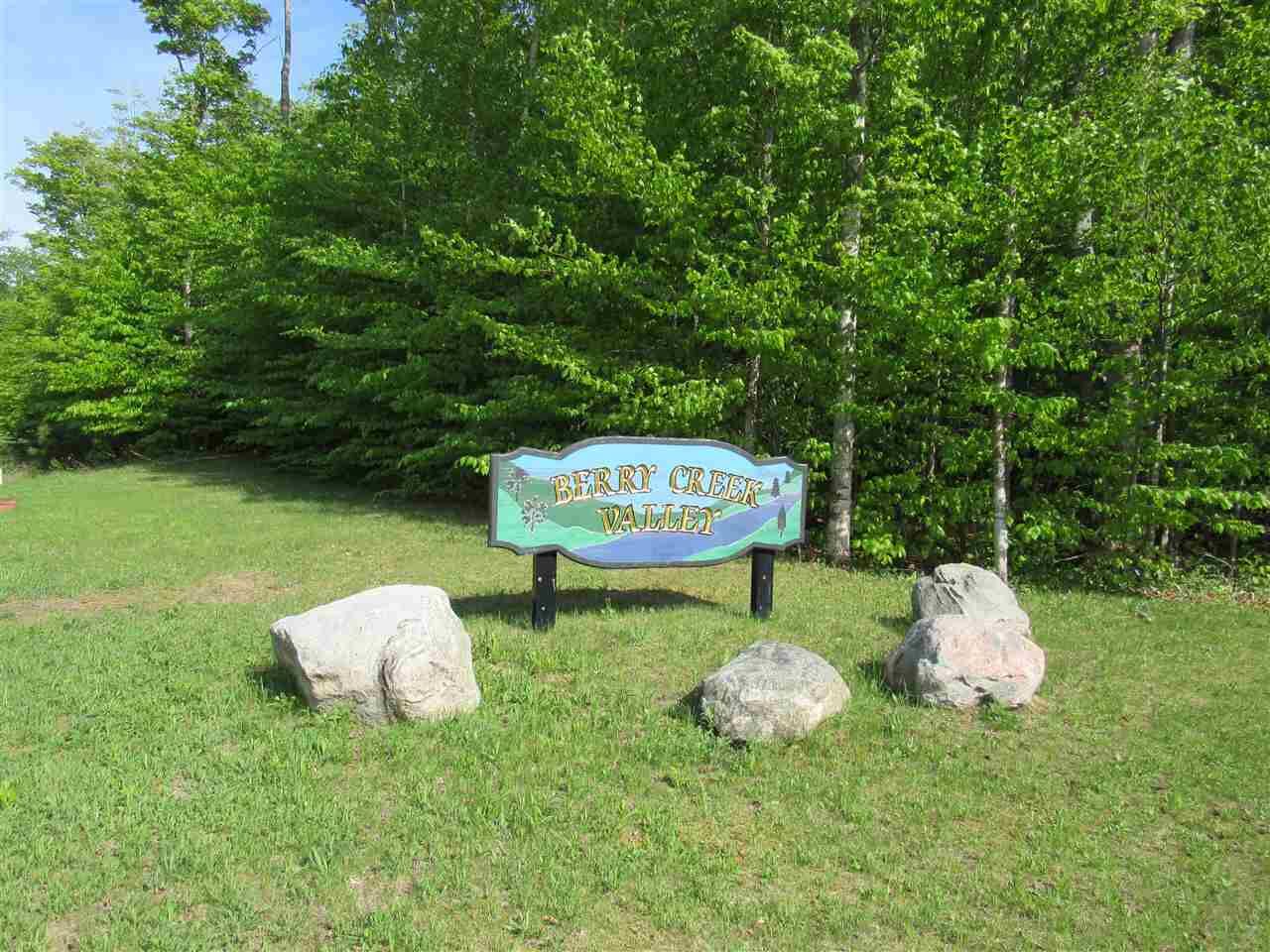 Property Photo:  11454 Berry Creek Valley Rd, #11  MI 49740 