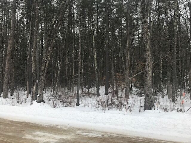 Property Photo:  Lot 36 Pickard Road  NH 03224 
