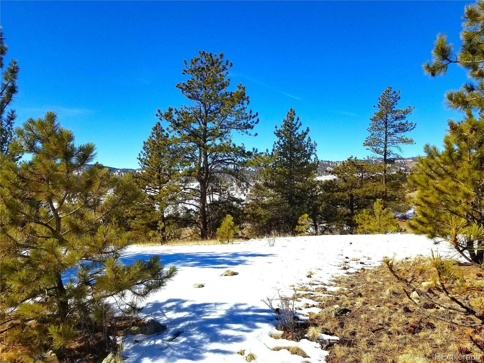 Property Photo:  470 Souix Trail  CO 80449 