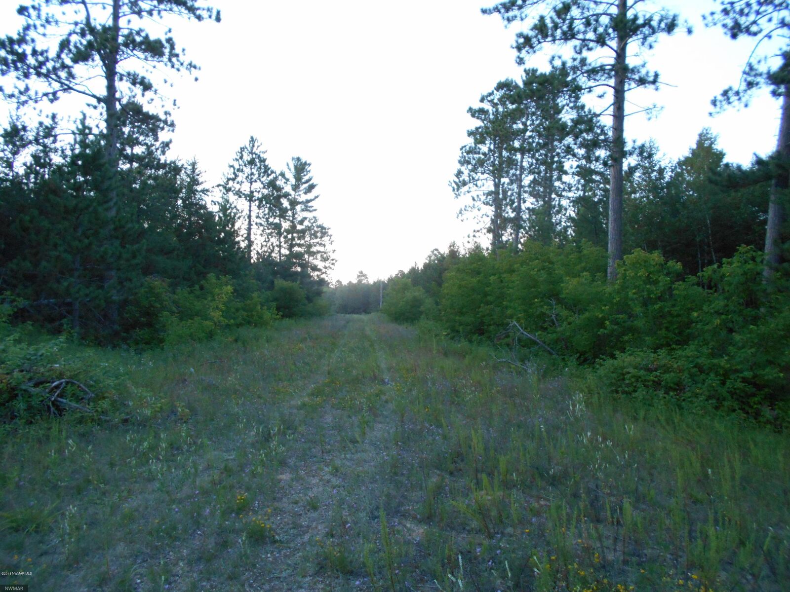 Property Photo:  Tbd Vaxjo Lane  MN 56633 