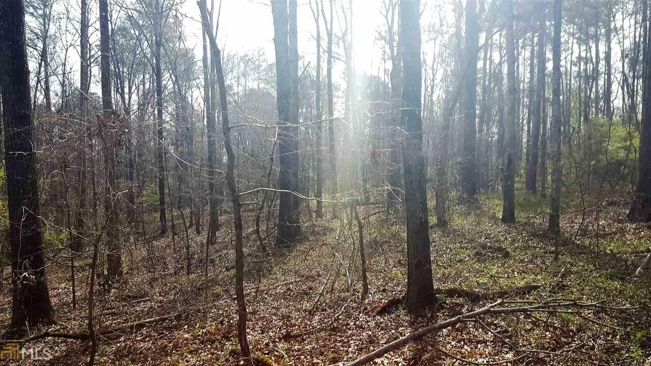 Property Photo:  0 Stagecoach Road 20.17 Acres  GA 30281 