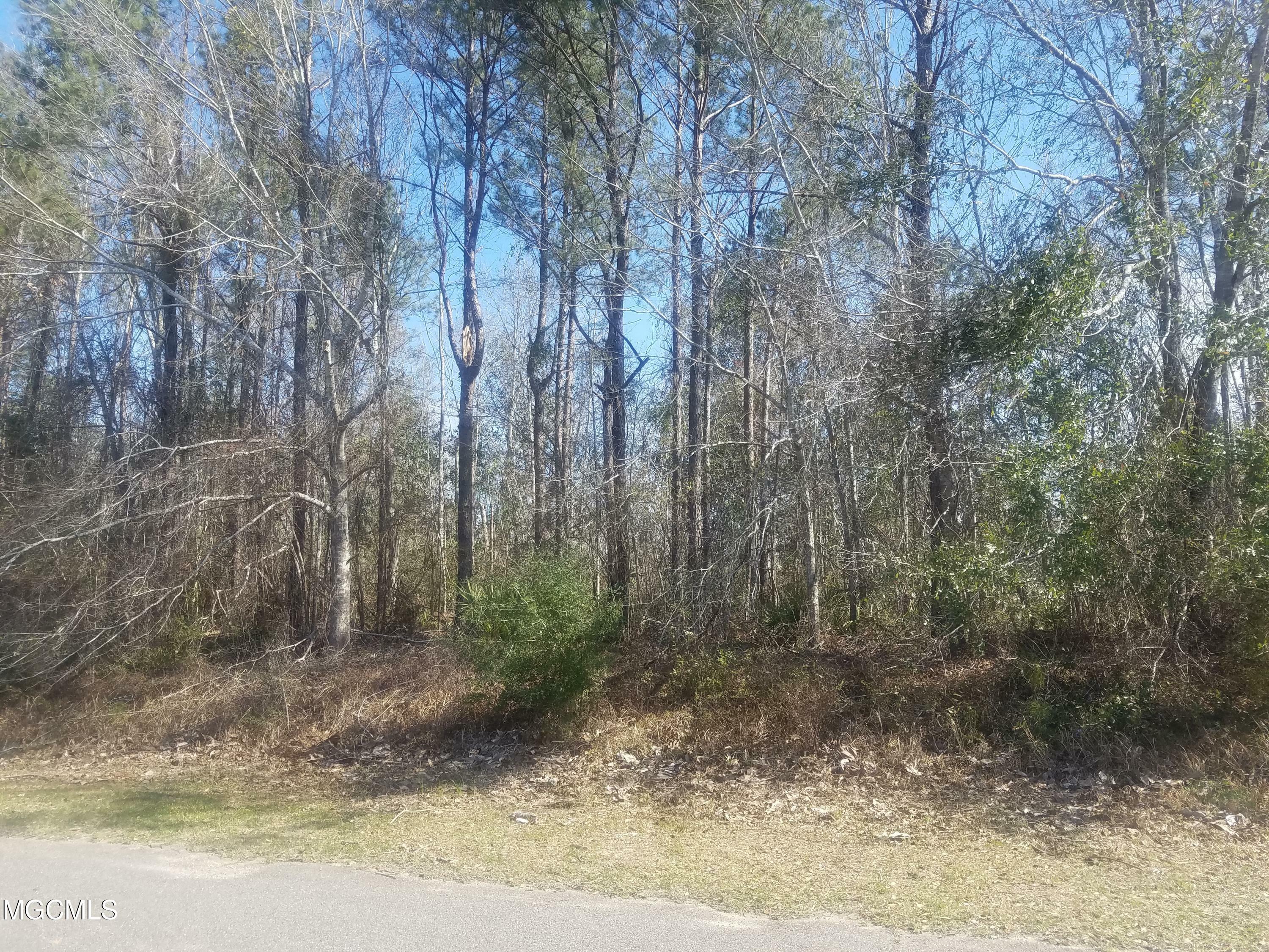 0 W Old River Trail Lot 100  Gulfport MS 39503 photo