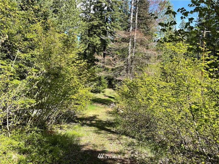 Property Photo:  0  Westside Road  WA 98922 