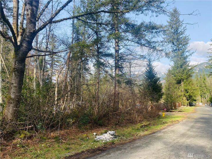 4 Xxxx Goldbar Blvd  Gold Bar WA 98251 photo