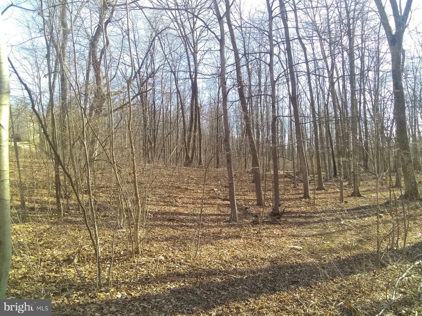 Property Photo:  Stone Mt Lane  WV 25411 