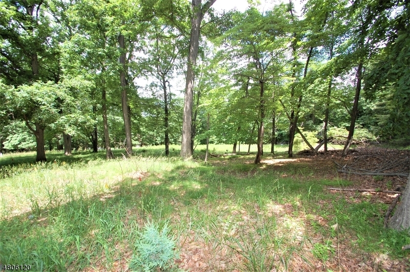 Property Photo: 45 Winter Ln NJ 07069