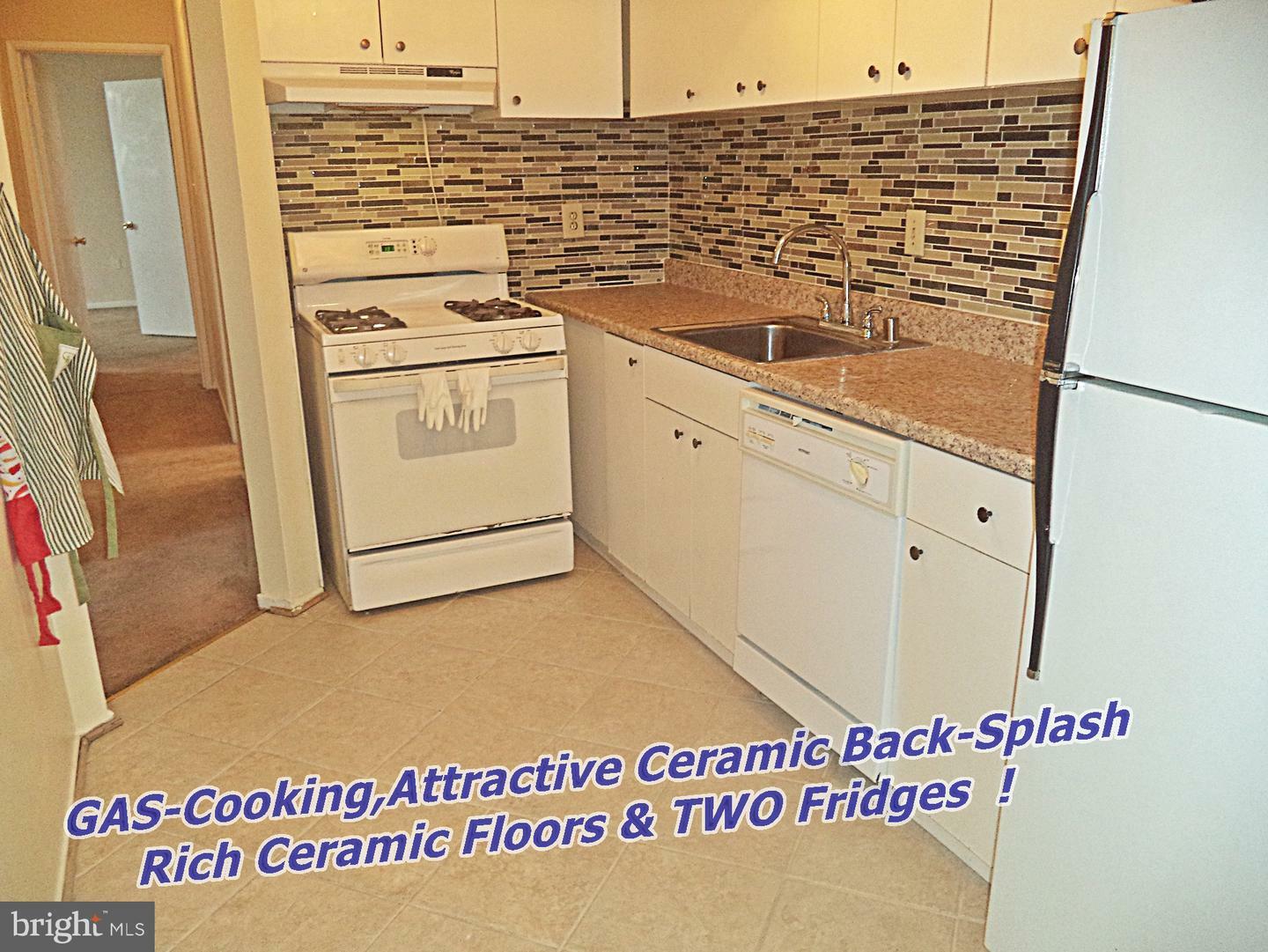 Property Photo: 4505 Romlon Street 203 MD 20705