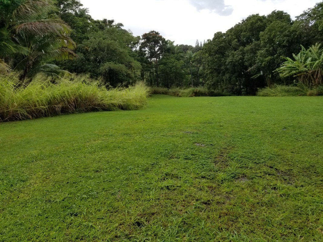 Property Photo:  Old Mamalahoa Hwy  HI 96764 