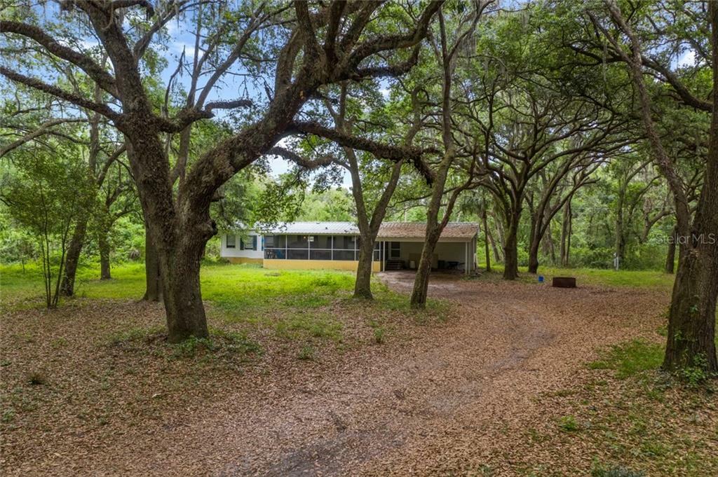 Property Photo:  4257 Brackwood Road  FL 33584 