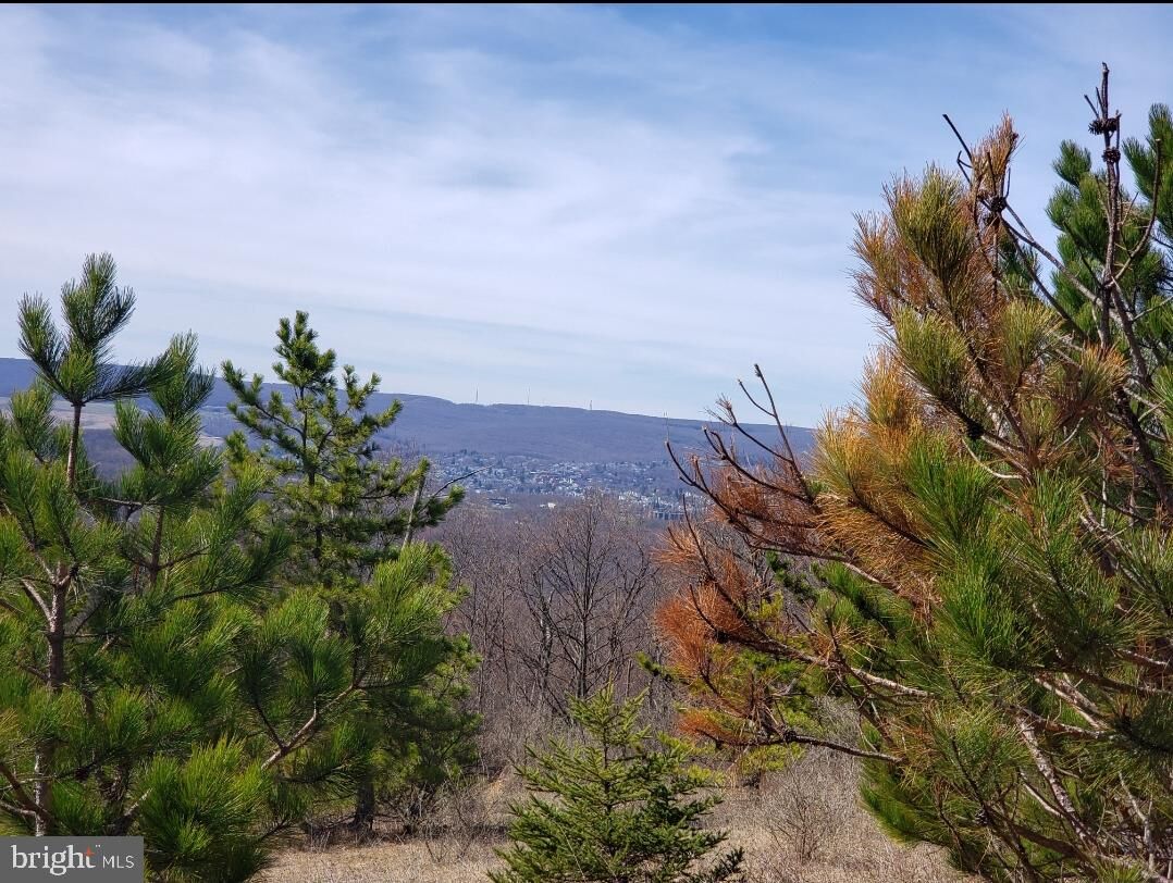 Property Photo: 12223 Summit Circle MD 21532