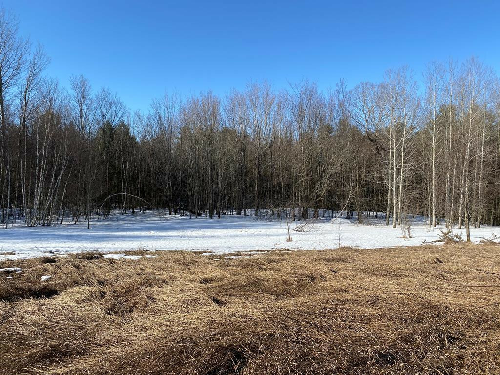 Property Photo:  0 Rand Hill Road  NY 12910 