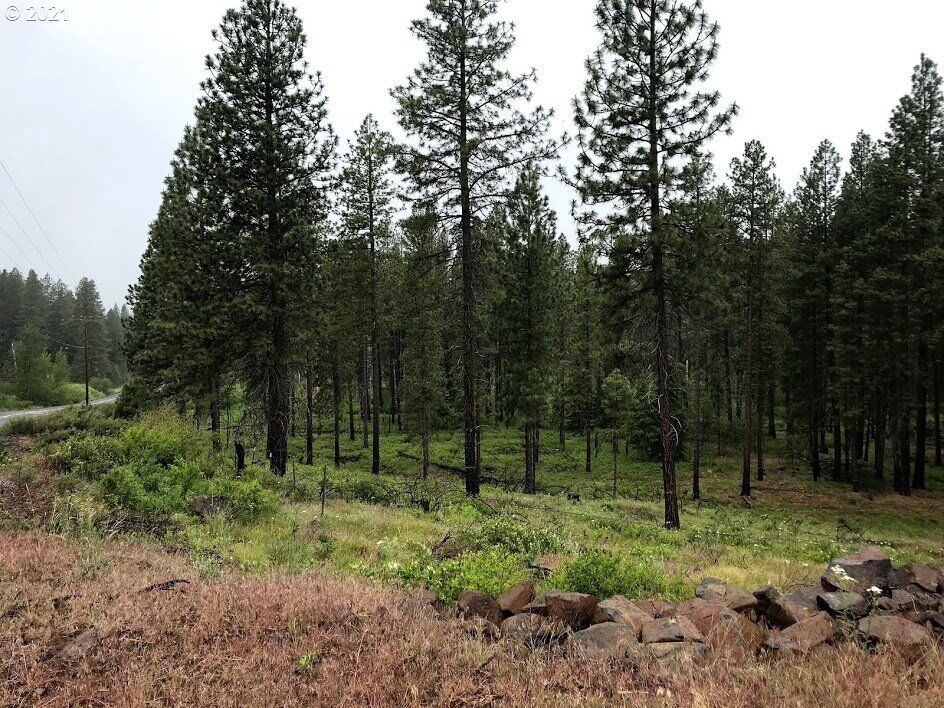 Property Photo:  Clan Stewart Trail  WA 98620 