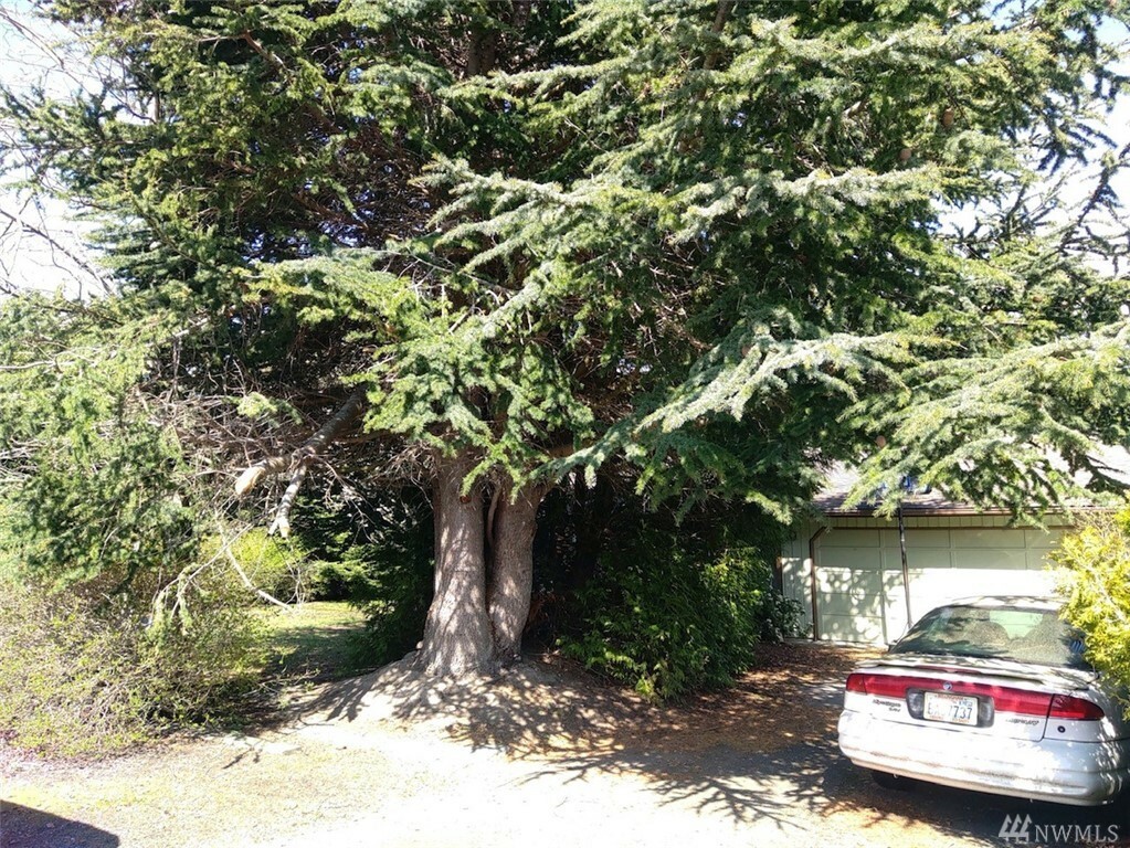 Property Photo:  2220 14th St  WA 98221 