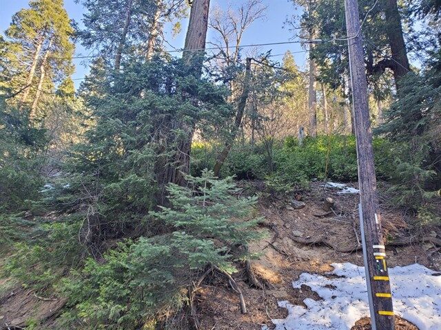 Property Photo: 0 Ballenger Road CA 92322