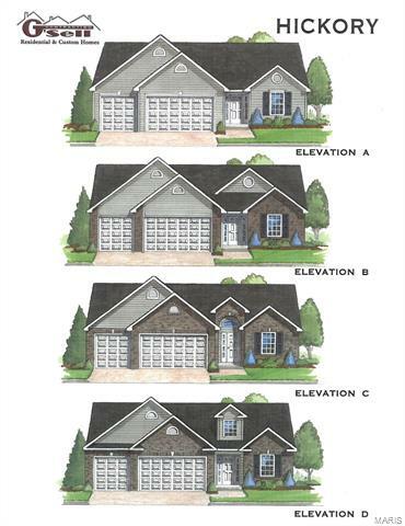 Property Photo: 387 Spring Valley Run (Lot 65 Bw) 63028