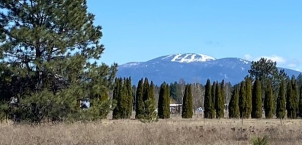 Property Photo: 28xx W Sandpiper Rd WA 99006