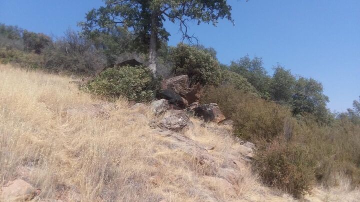 2153 Roan Road  Angels Camp CA 95222 photo