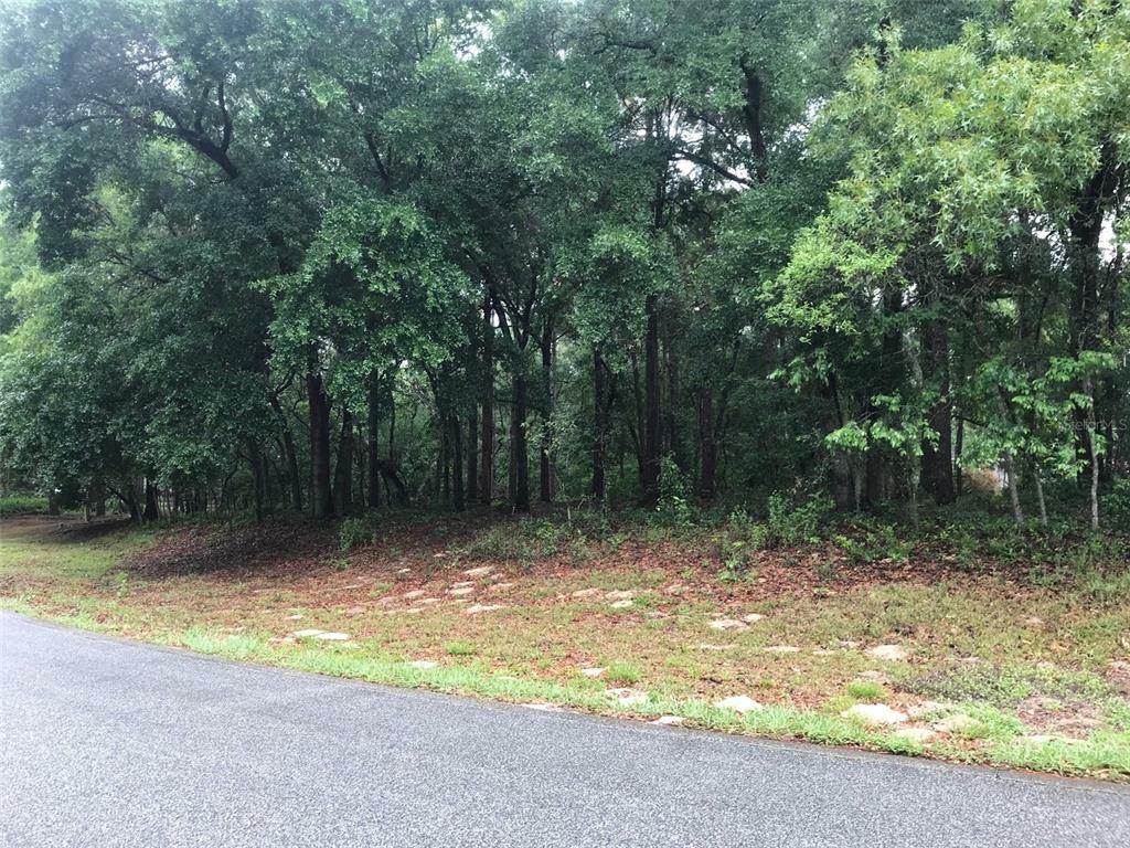 Property Photo:  133 Piney Woods Road  FL 32703 