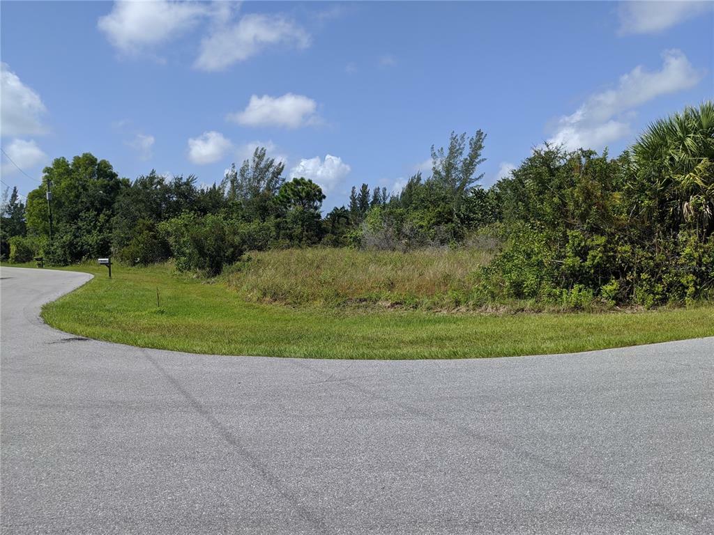 Property Photo:  15345 Red Head Avenue  FL 33981 