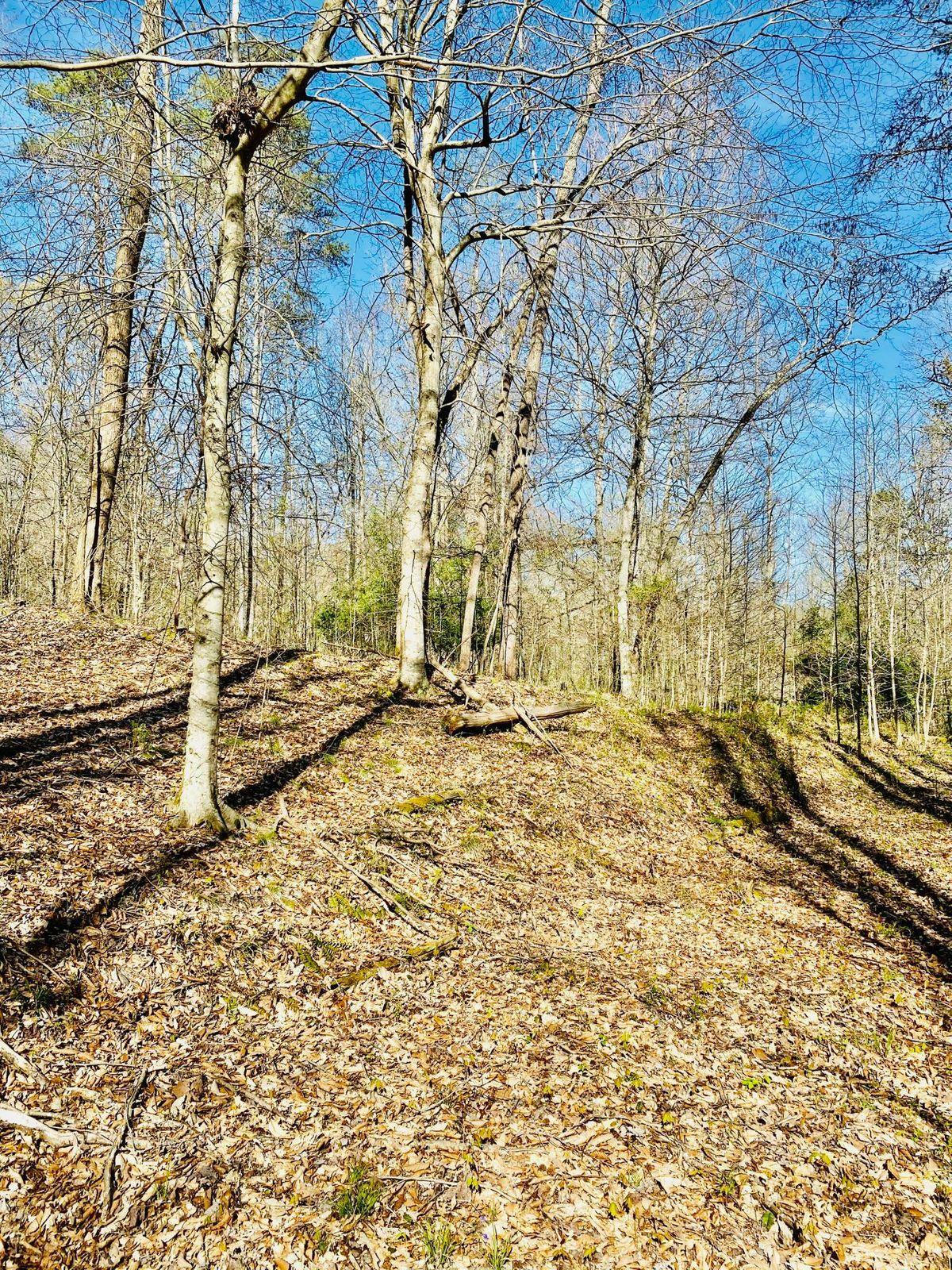 Property Photo:  Laurel Wood Rd  TN 37825 