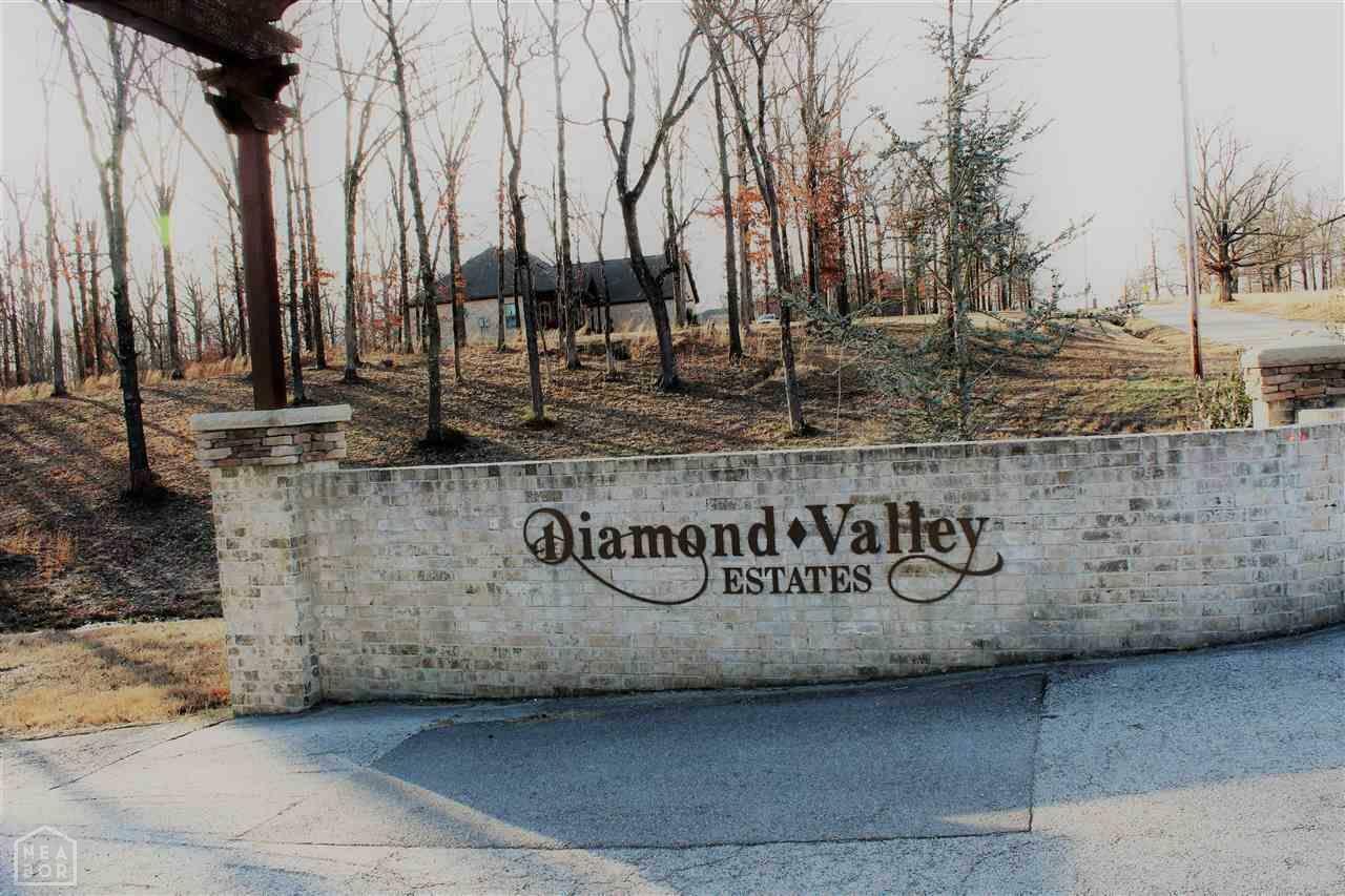 Property Photo:  Lot 8 Diamond Valley Estates Phase Ii  AR 72404 