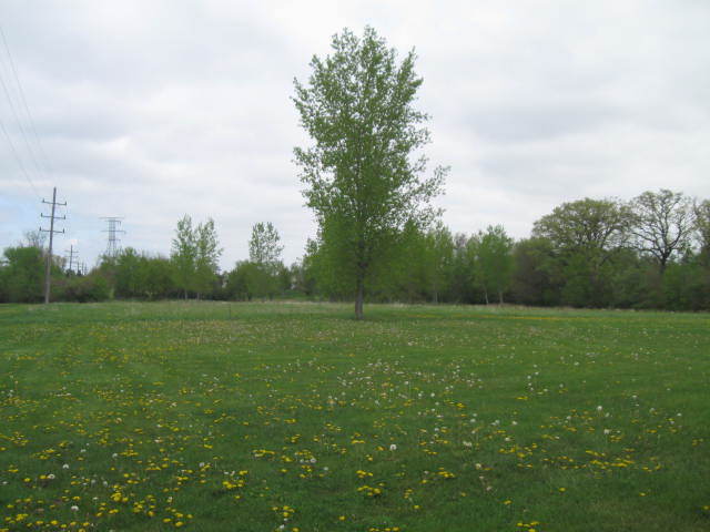 Property Photo: 9.11 Acres Brickville Road IL 60178
