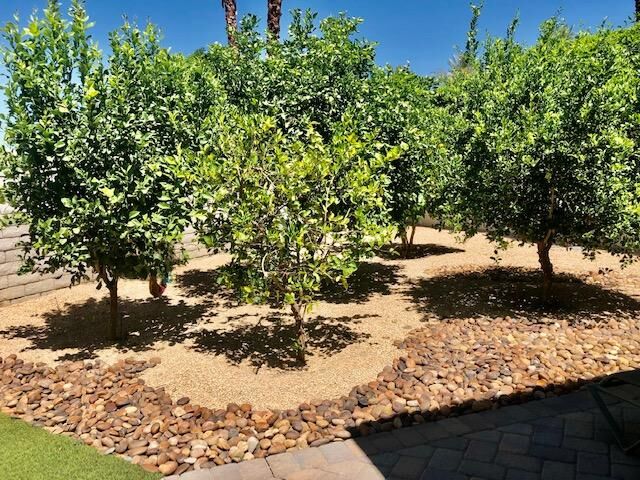 45469 Camino Del Rey  Indian Wells CA 92210 photo