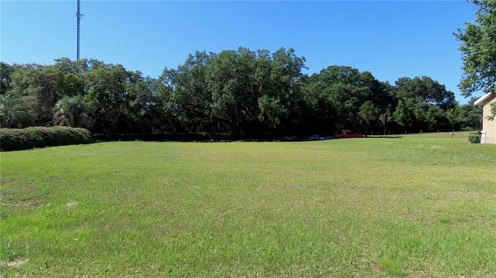Property Photo: 523 Dowling Circle FL 32159