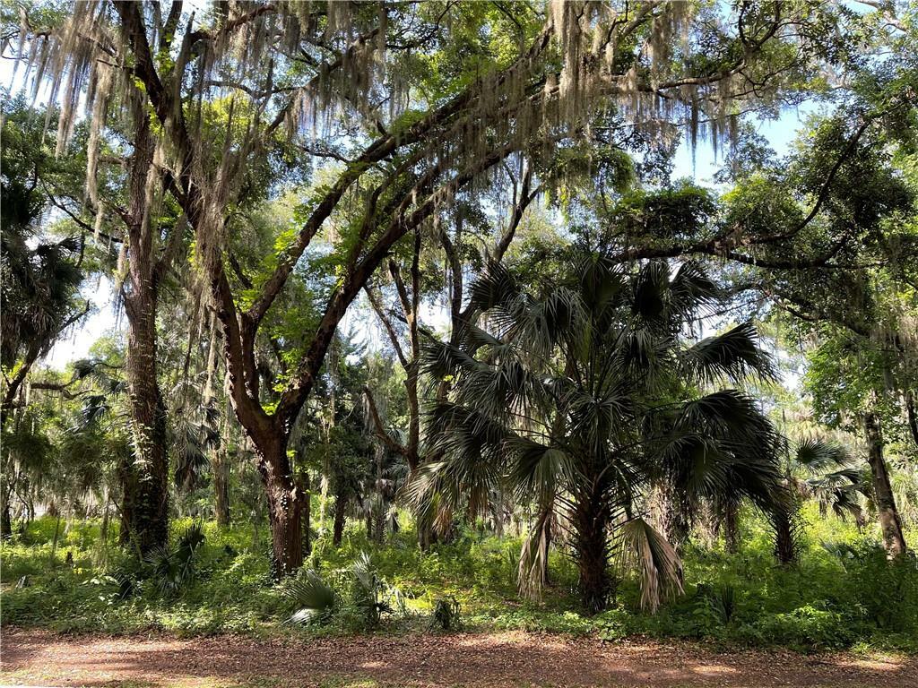 Property Photo:  Lot 17 Little Piney Island Drive  FL 32034 