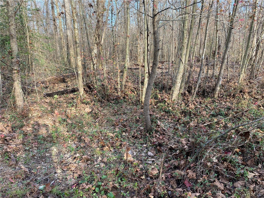 Property Photo:  Lot 19 Breezywood Lane  VA 23117 