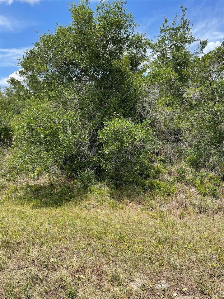 Property Photo: 33514, 33522,33528 Washington Loop Road FL 33982