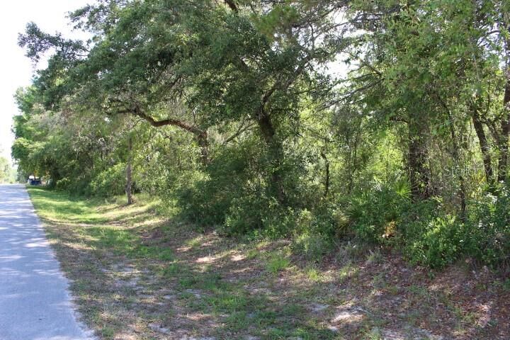 Property Photo:  Shalimar Street  FL 34654 