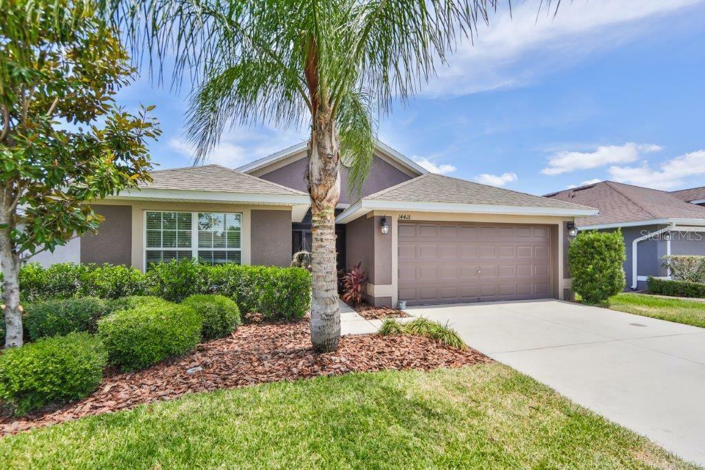 Property Photo:  14421 Edinburgh Moor Drive  FL 33598 