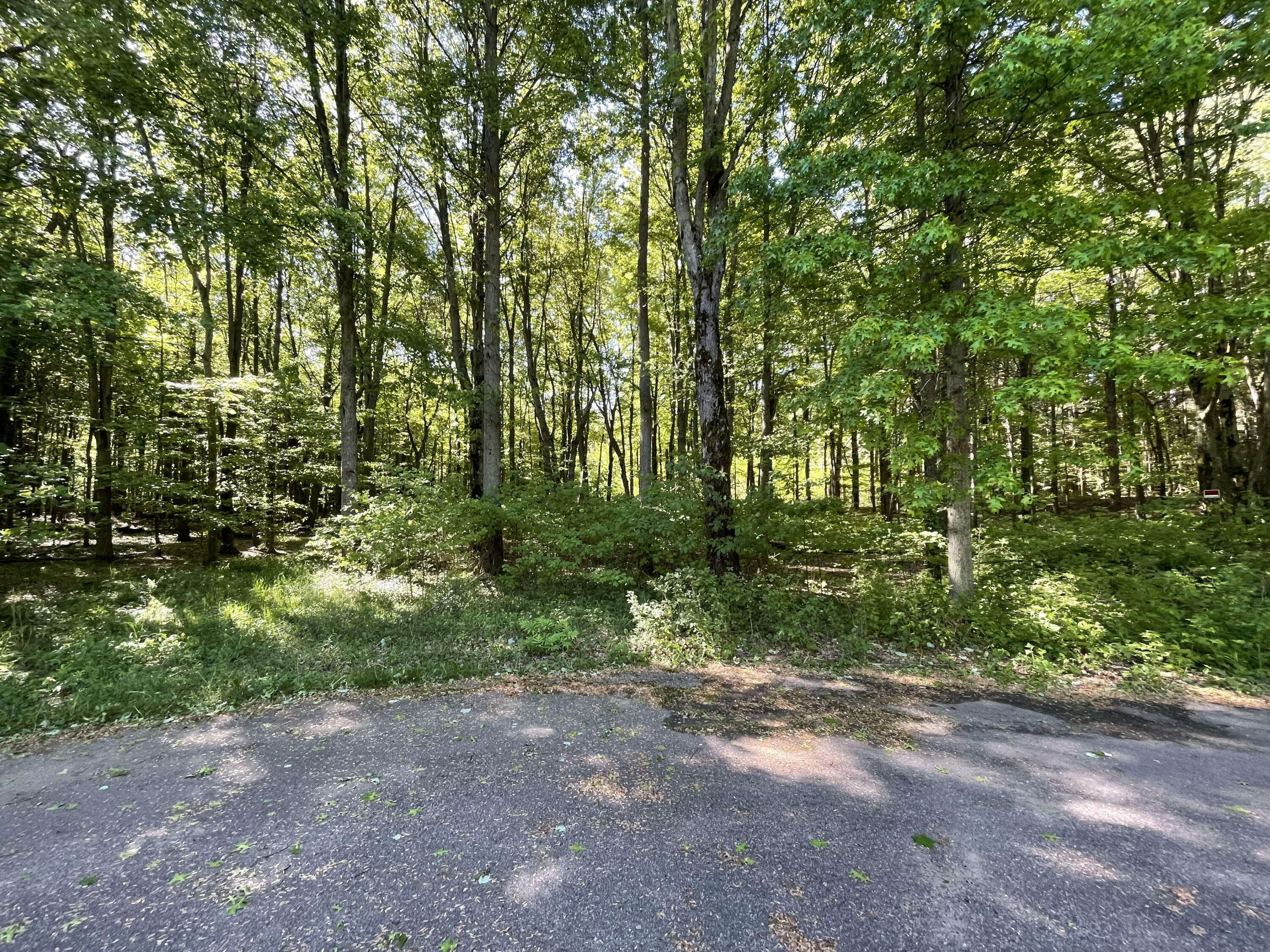 Property Photo:  0 Forest Drive  MI 49424 