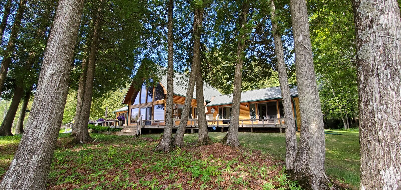 Property Photo:  1258 E M-134 Hwy  MI 49719 