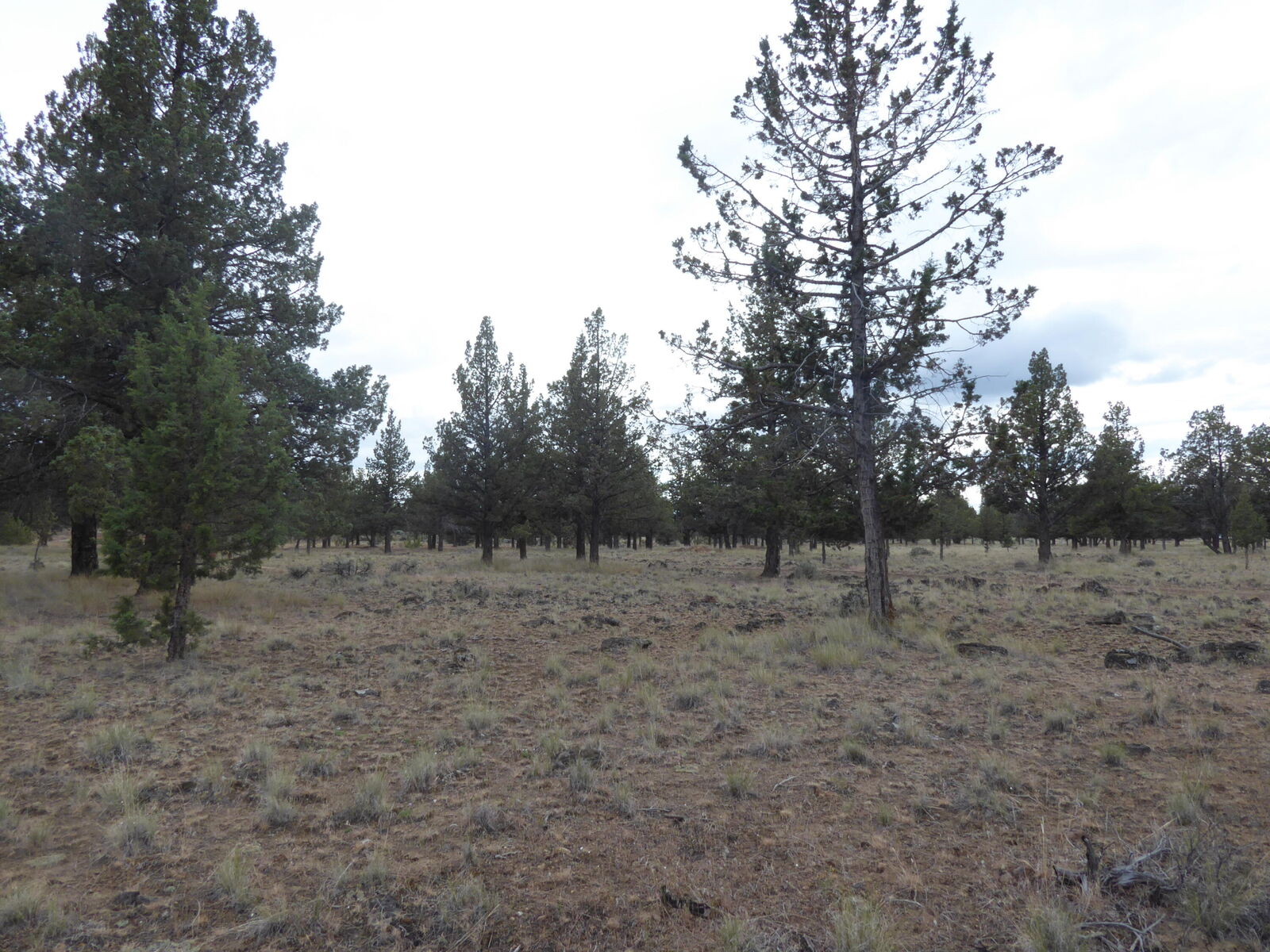 Property Photo:  Parcel 3 SW Jordan Road  OR 97734 