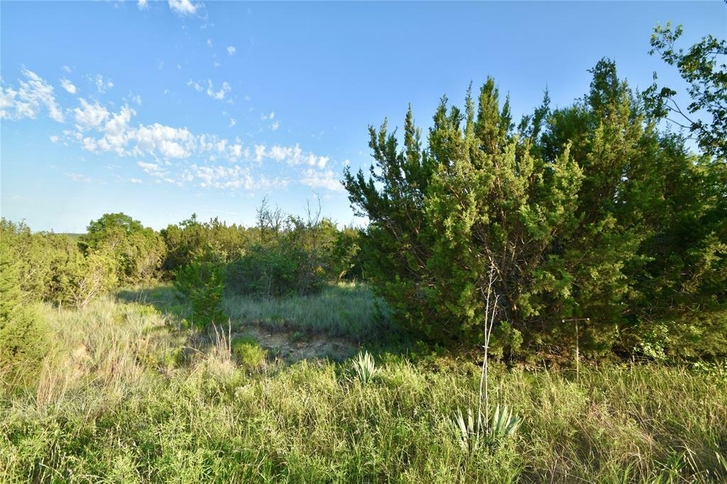 Property Photo:  1400 Peninsula Drive  TX 76433 