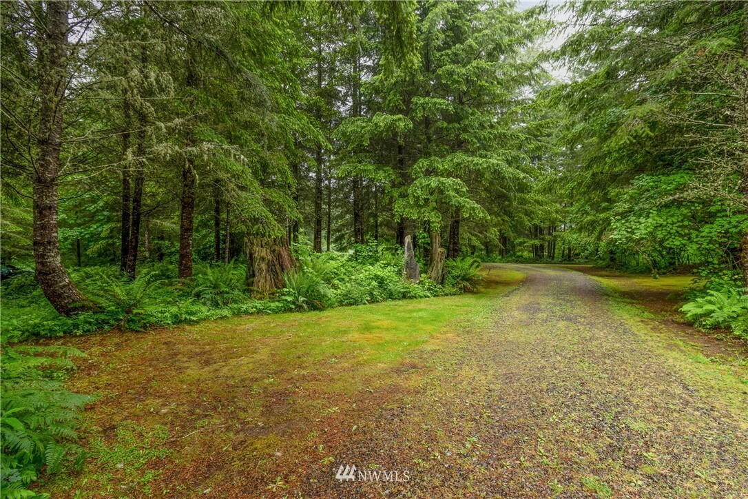 Property Photo:  113 Deer Trace Court  WA 98356 