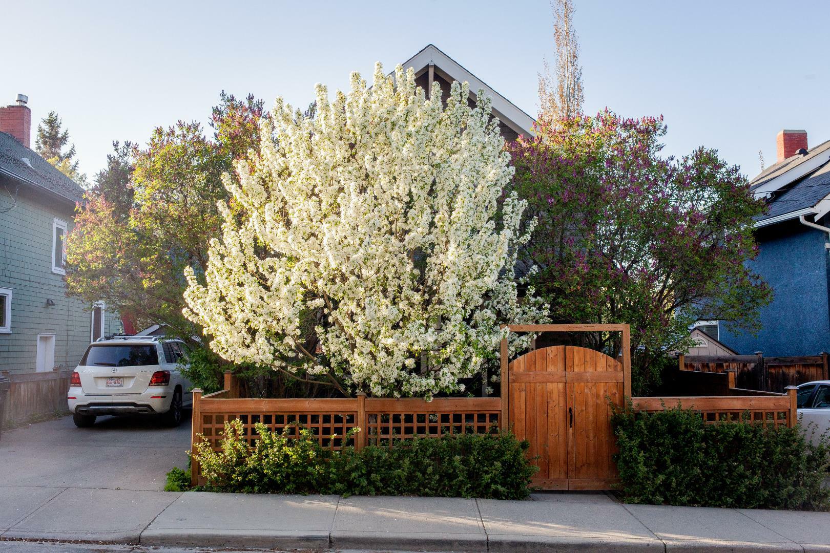 Property Photo: 1442 21 Avenue SW AB T2T 0M6