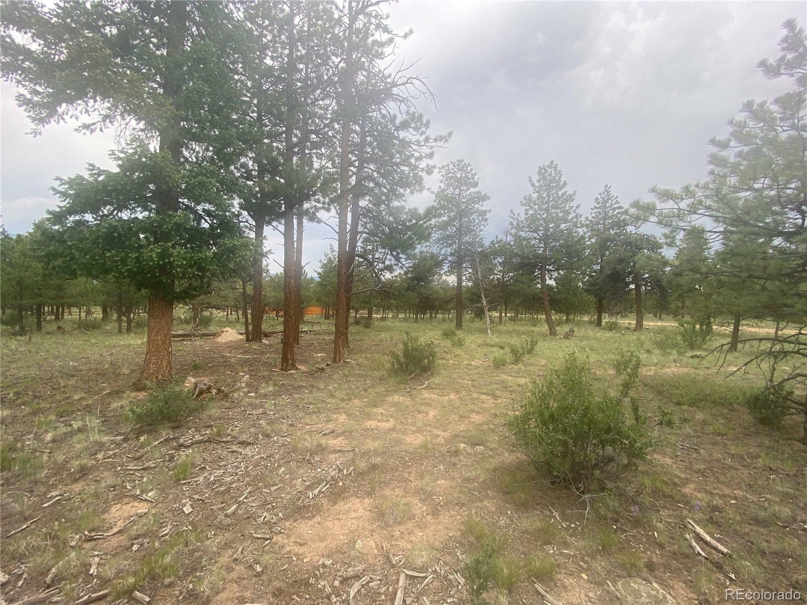 Property Photo:  30650 Timberline N  CO 81211 