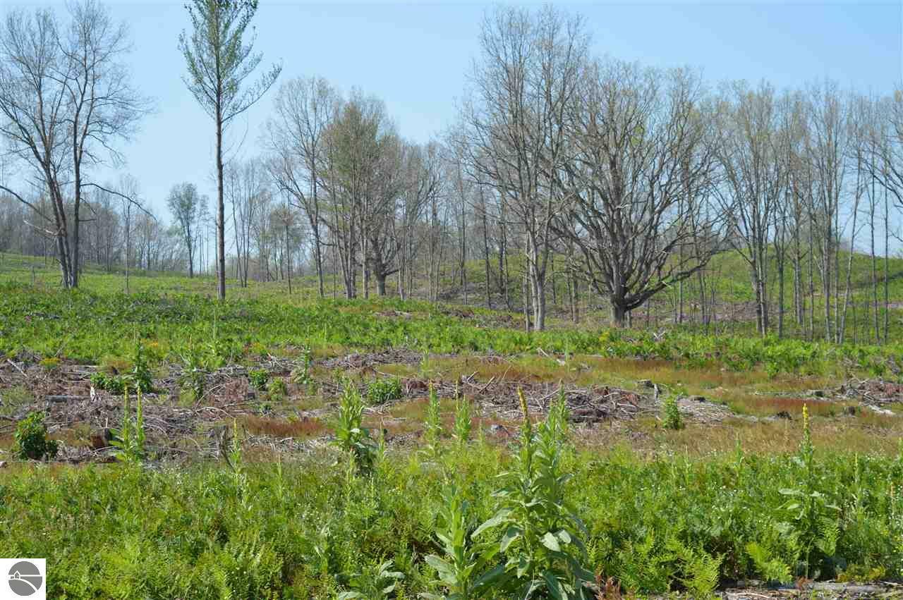 E E 16 Mile Road  Reed City MI 49677 photo