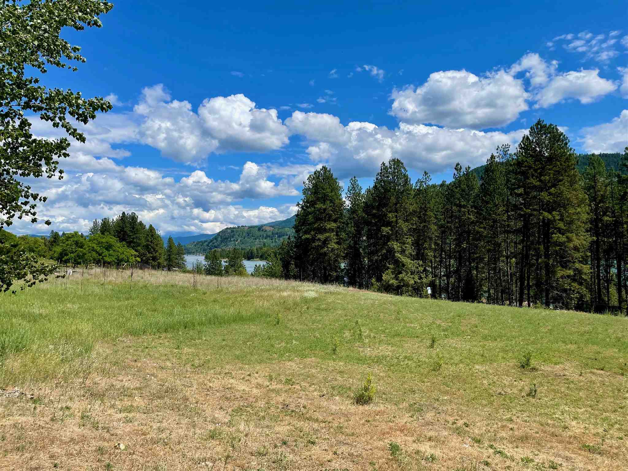 Property Photo:  4217-B Northport Flat Creek Rd  WA 99157 