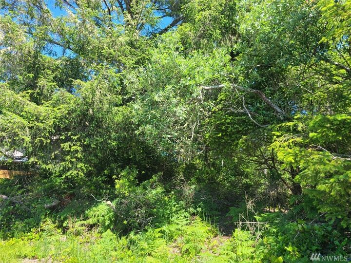 Property Photo: 617 Aster Ct SE WA 98569