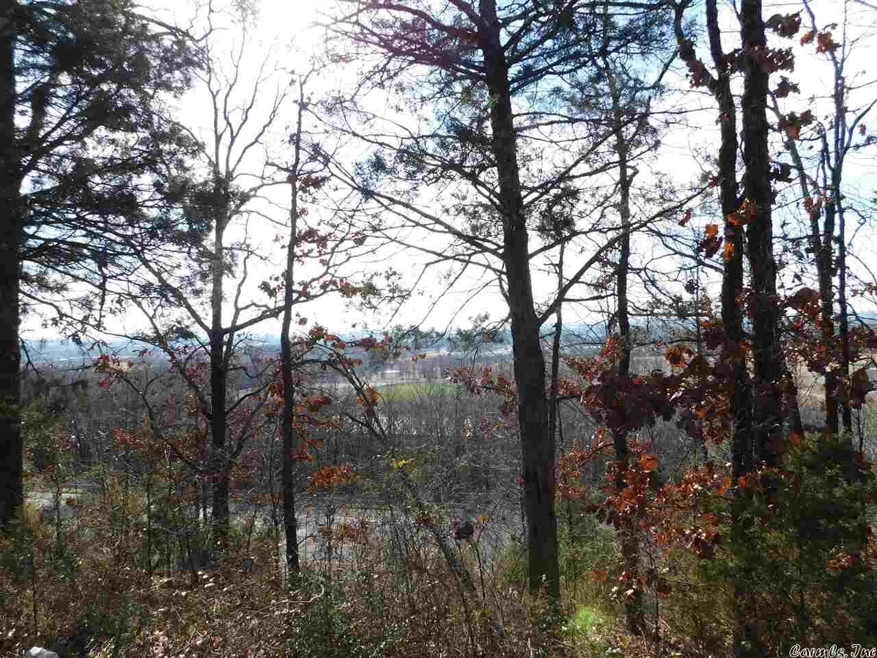 Property Photo:  170 E Grandview Heights  AR 72032 