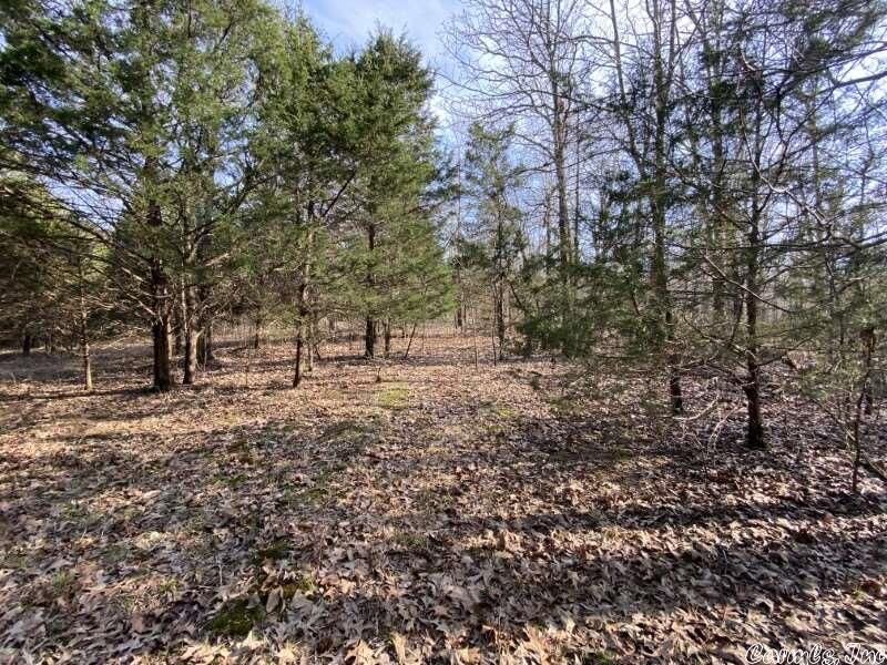 Property Photo: Paige Trail AR 72455