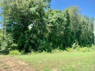 000 Hwy 20 Lot 26 Block B  Freeport FL 32439 photo