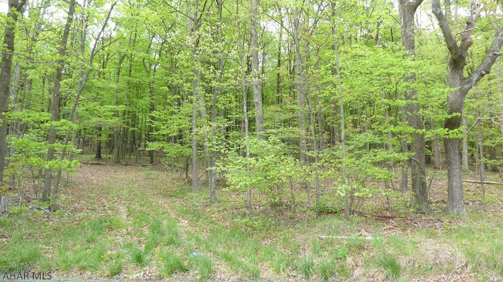 Property Photo:  Off Black Valley Road  PA 15535 