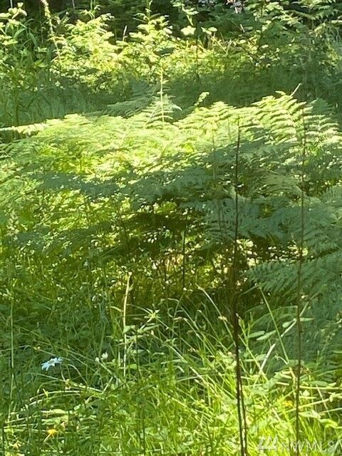 6687 Cliffordsville Rd  Clinton WA 98236 photo