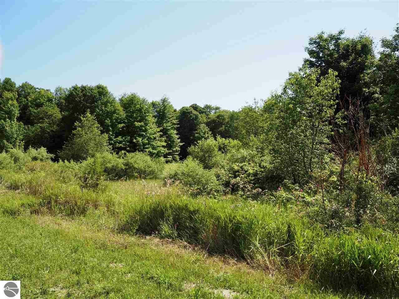 Property Photo: 000 Fran Avenue Lot 32 MI 49635