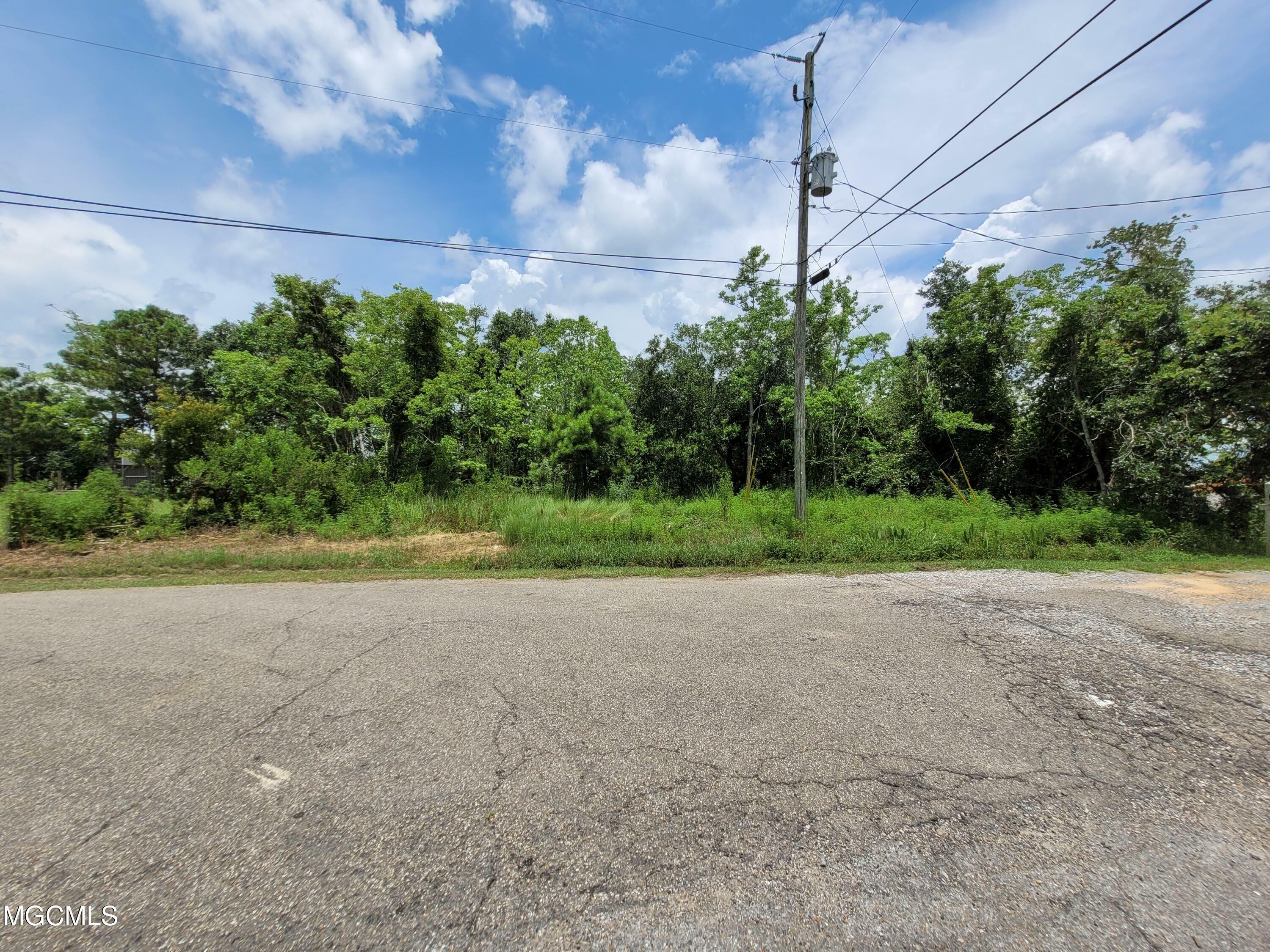 Property Photo: Lot 23-24 Larkspur Lane MS 39520
